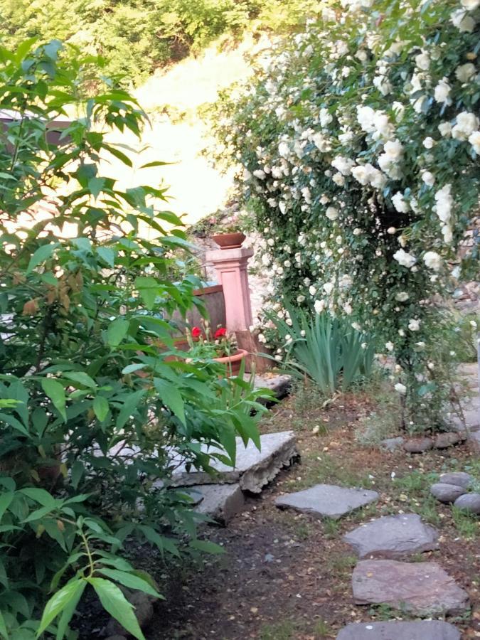 Shanty Calasca-Castiglione Buitenkant foto
